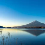 「FXが一番安全」と判断した理由