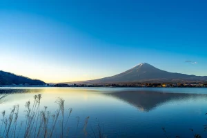 投稿についてもっと詳しく 「FXが一番安全」と判断した理由